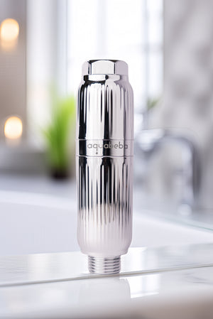 Aquafilter Ducha Plateado