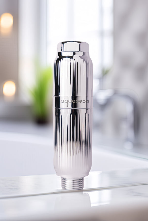 Aquafilter Ducha Plateado