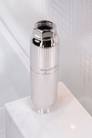 Aquafilter Ducha Plateado